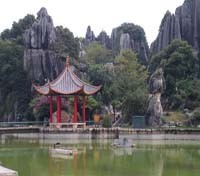 Stone Forest Temple